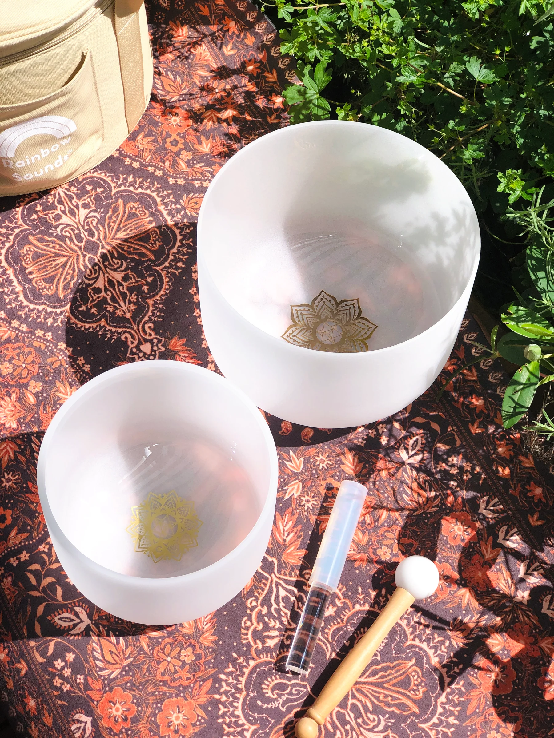 Earth & Soul Star Set Of 2 Crystal Singing Bowls