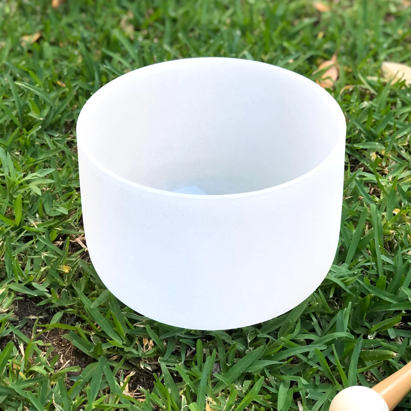 Heart Chakra 9" White Crystal Singing Bowl