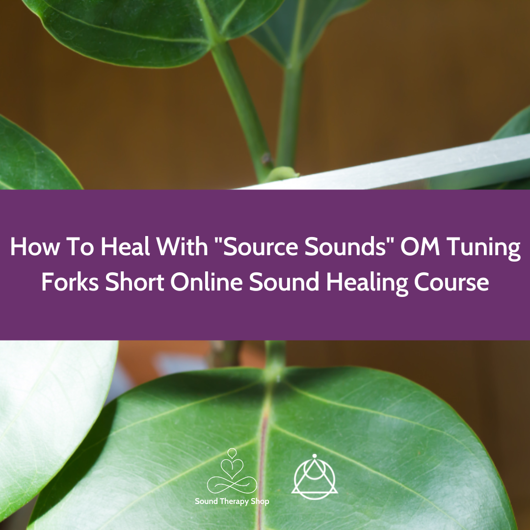 Online Short Course: How To Heal With "Source Sounds" OM Tuning Forks