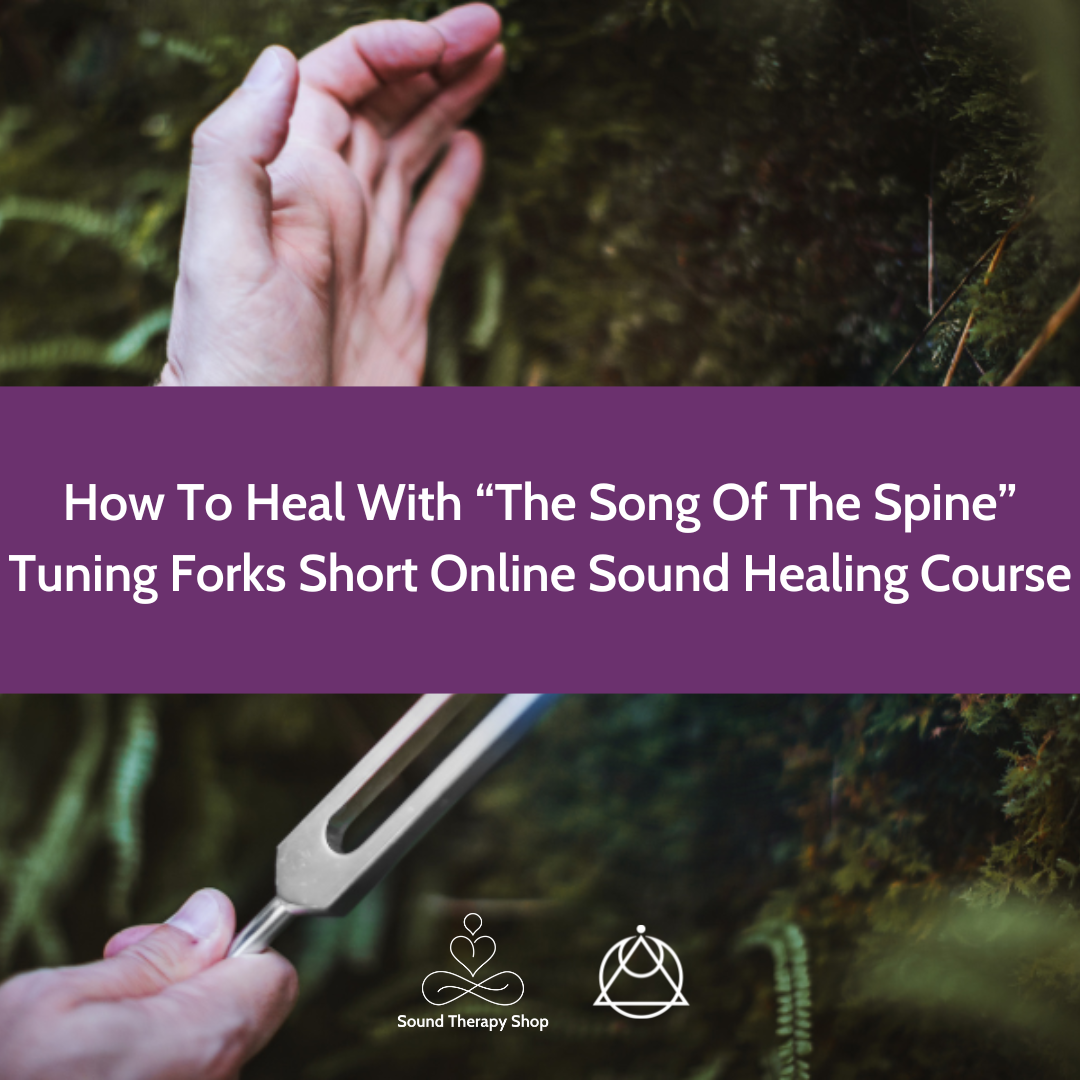 Online Short Course: How To Heal With The Song Of The Spine Tuning Forks