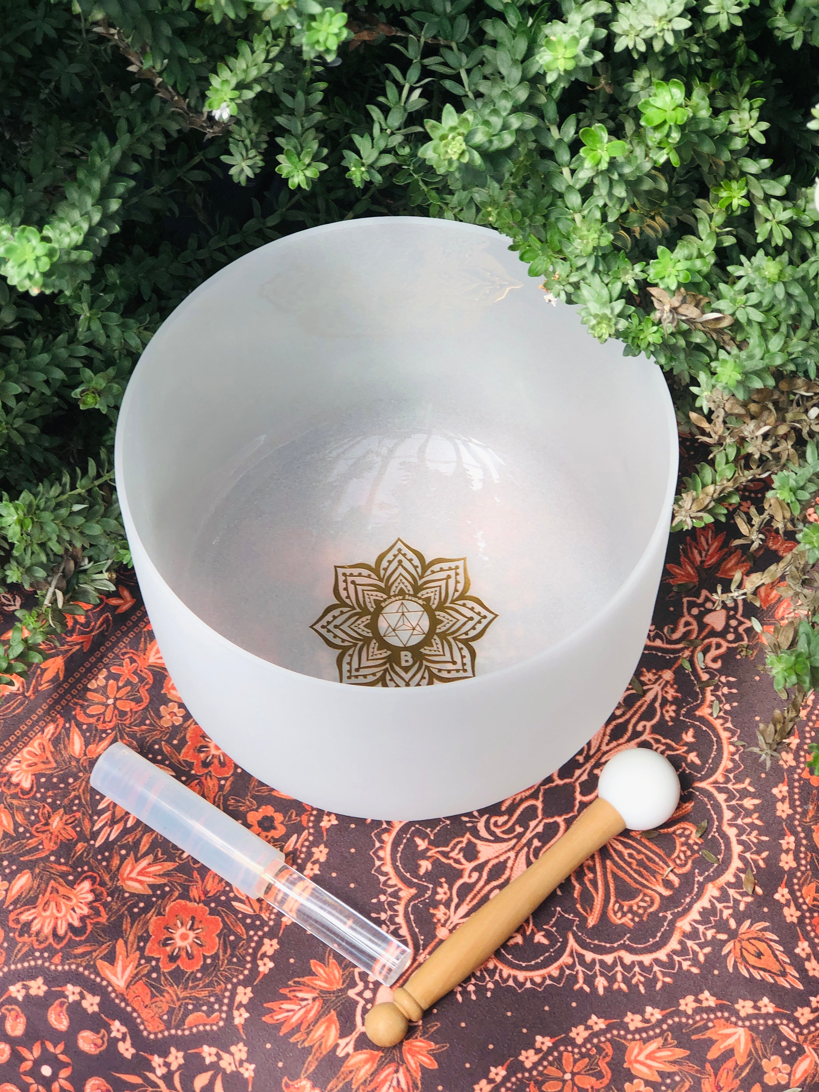 Earth Star Chakra 10" Crystal Singing Bowl In Beige Bag