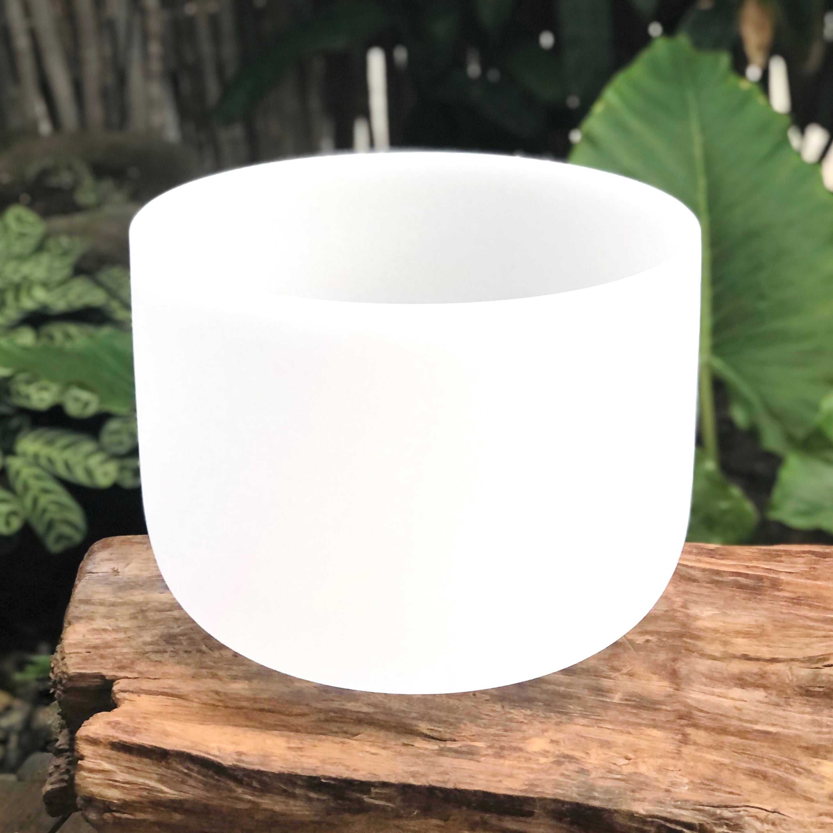 Sacral Chakra 11" White Crystal Singing Bowl